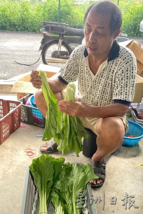 雨季致收成减 菜价“一飞冲天”