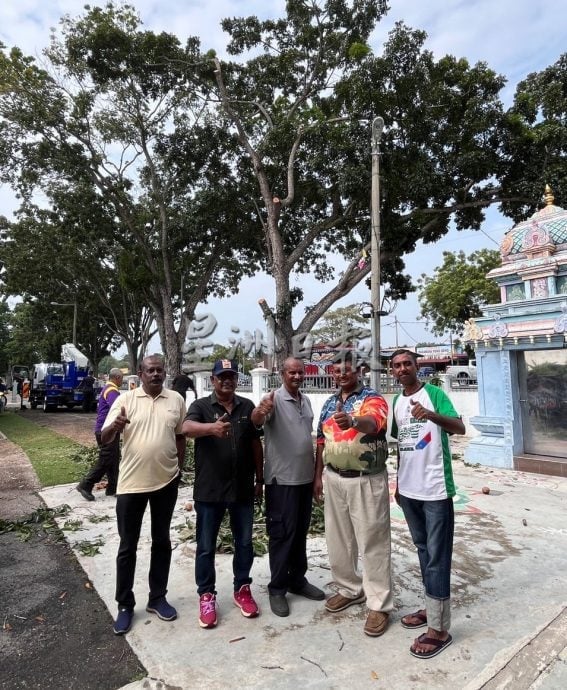 （古城第六版主文）大树枝桠威胁路人与信徒安全，野新望万斯里马哈马利亚曼兴都庙盼一年半终获修剪