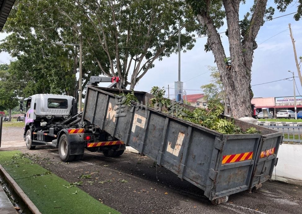 （古城第六版主文）大树枝桠威胁路人与信徒安全，野新望万斯里马哈马利亚曼兴都庙盼一年半终获修剪