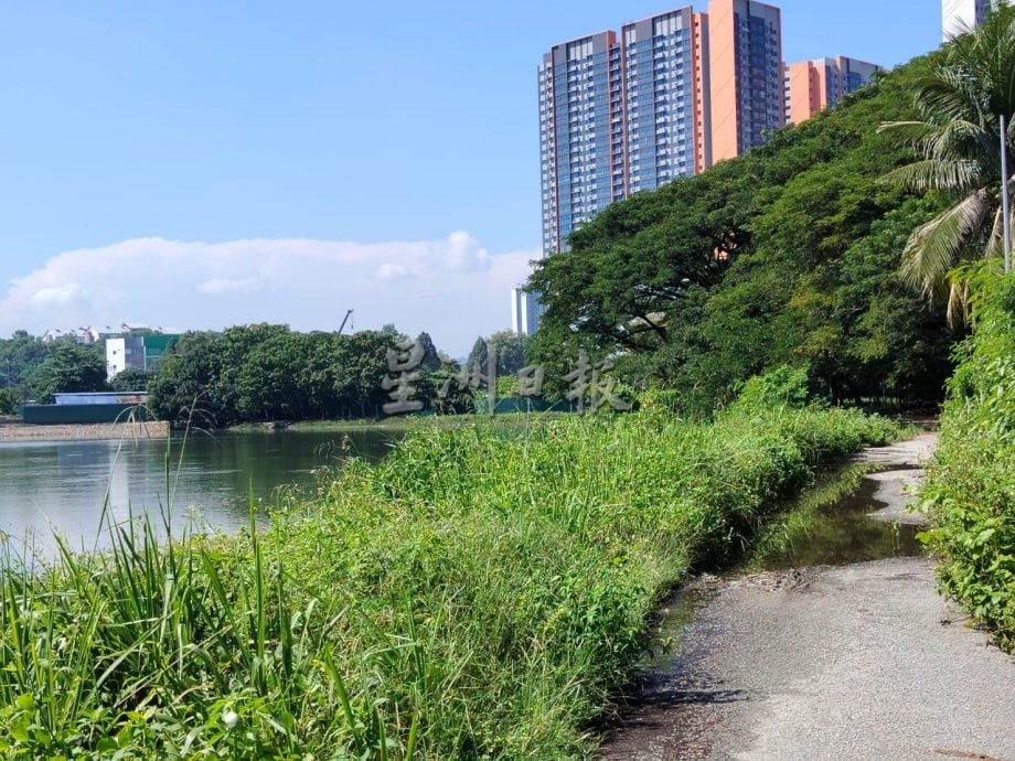 大都会/垂钓矿湖胜地沦为弃湖 惹来蚊虫毒蛇 大煞风景