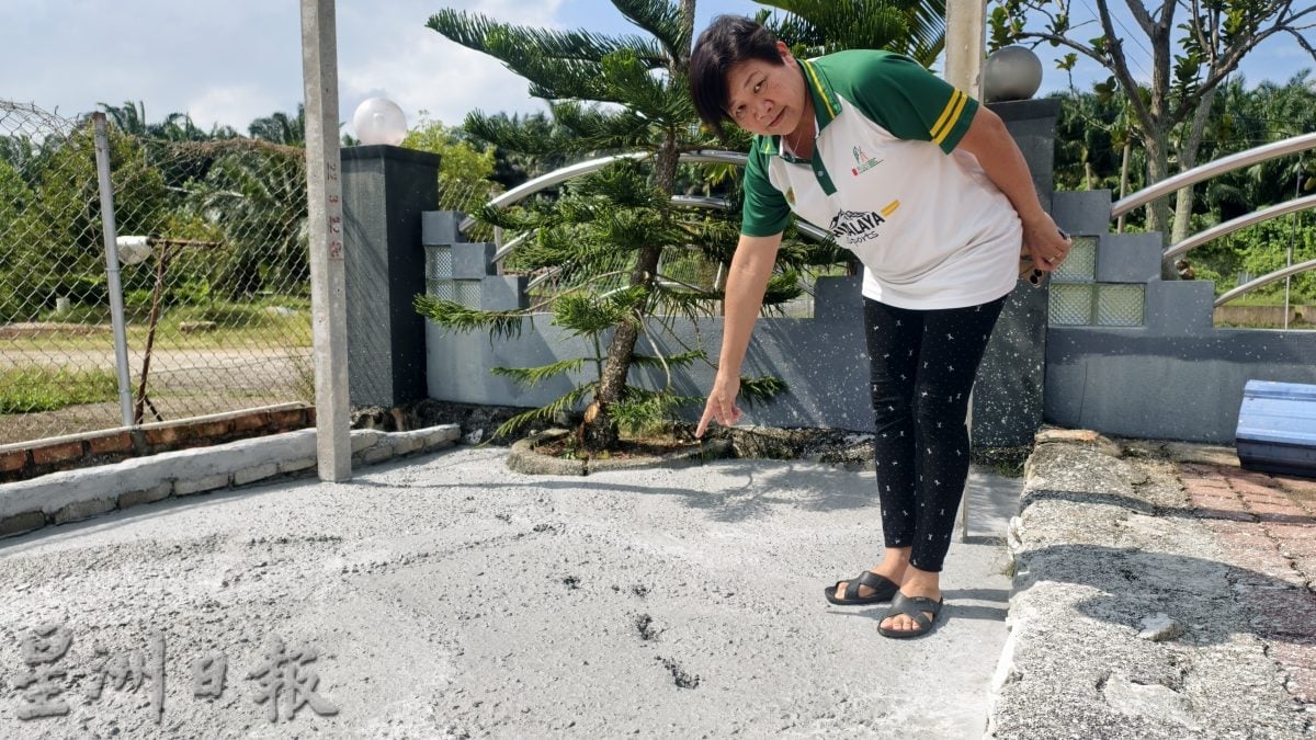 小黑豹还是果子狸?黑影夜闯芦骨村长家 乱窜惊动全屋人