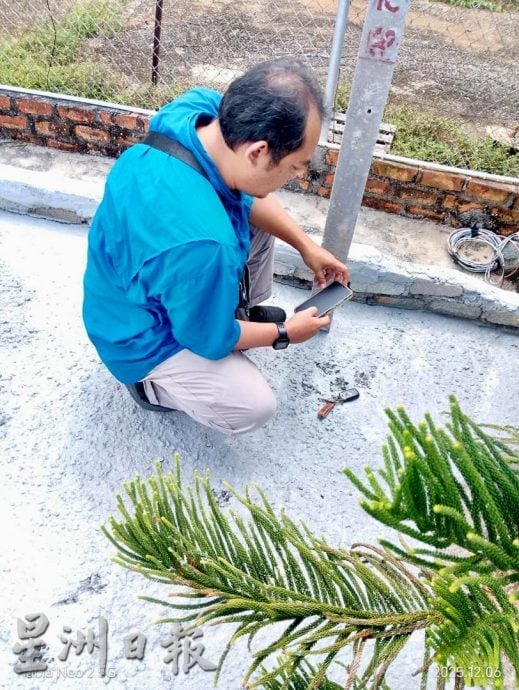 小黑豹还是果子狸?黑影夜闯芦骨村长家 乱窜惊动全屋人