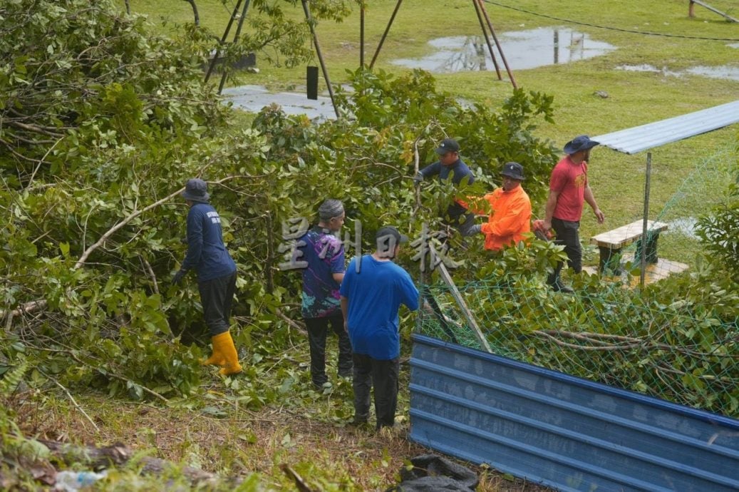 关丹市厅为武吉士基劳社区办大扫除,修茸老树枝降低风险。