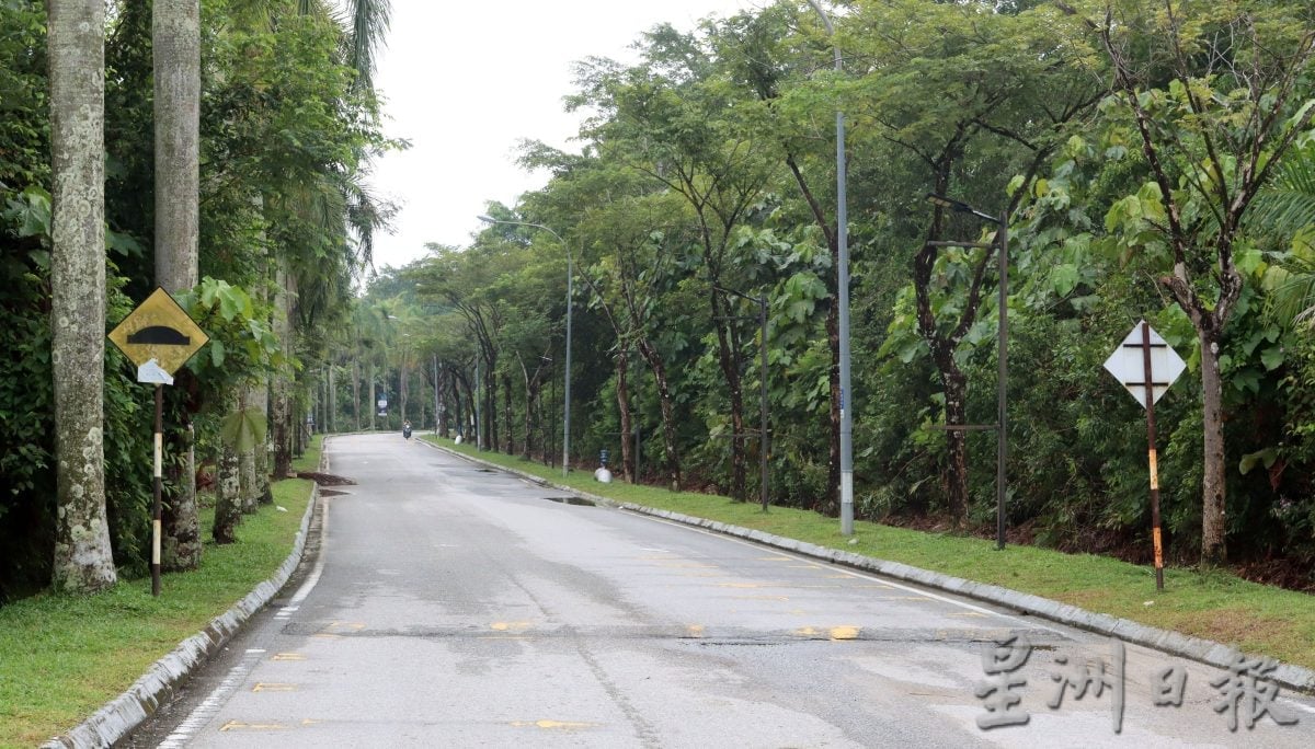 供星洲网/珍珠园“天才”路拱引路拱密集话题 市议员：居民要求才会增设