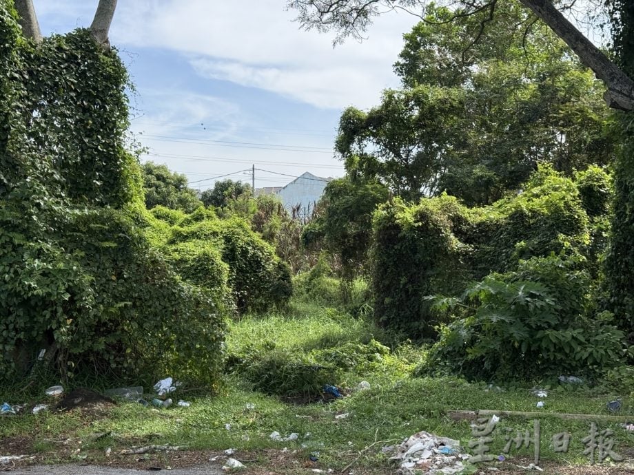 (古城第四版主文)晋巷丽雅公寓猴患垃圾问题·谢守钦促居民加强配合