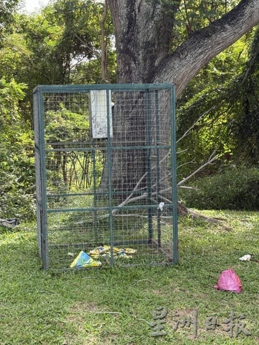 (古城第四版主文)晋巷丽雅公寓猴患垃圾问题·谢守钦促居民加强配合