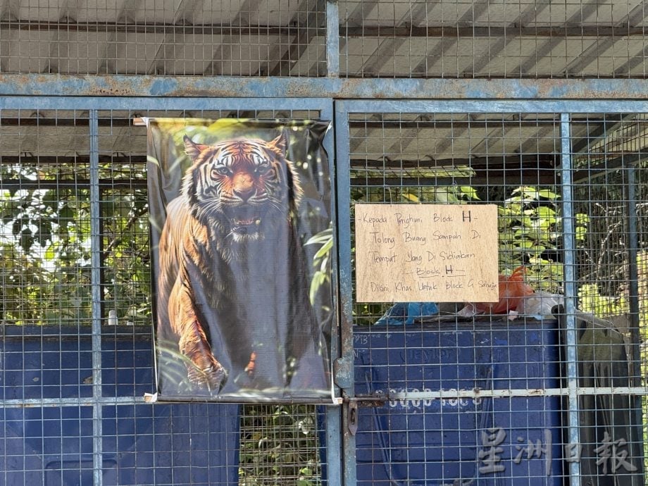 (古城第四版主文)晋巷丽雅公寓猴患垃圾问题·谢守钦促居民加强配合