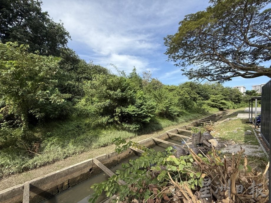 (古城第四版主文)晋巷丽雅公寓猴患垃圾问题·谢守钦促居民加强配合