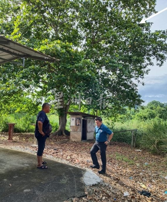 供星洲网:森合河边树上的毒蜂巢终被消拯人员烧毁