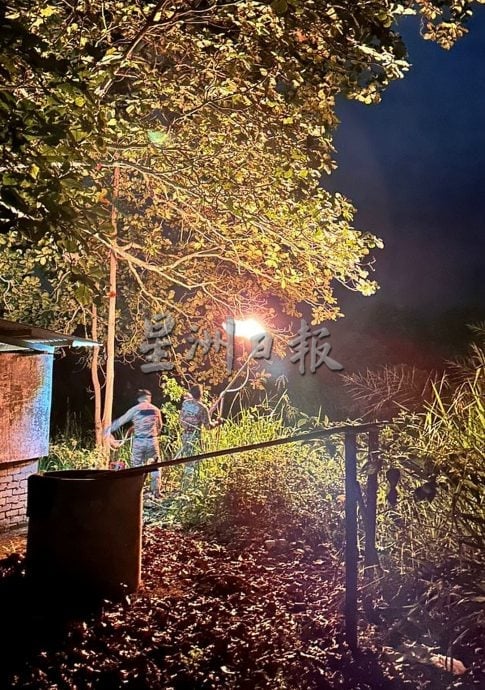 供星洲网:森合河边树上的毒蜂巢终被消拯人员烧毁