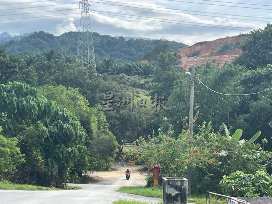 霹：第三版头∕不只吼声还现虎足迹 龙岗山封山丹那依淡热闹减