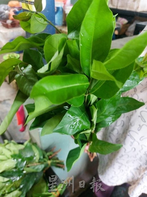 (古城第四版主文)专栏─《漫步巴刹》