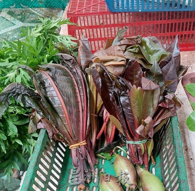 (古城第四版主文)专栏─《漫步巴刹》