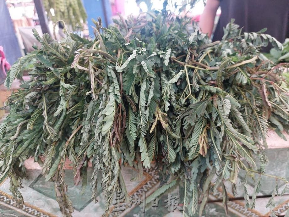 (古城第四版主文)专栏─《漫步巴刹》