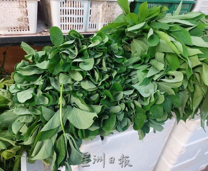 (古城第四版主文)专栏─《漫步巴刹》