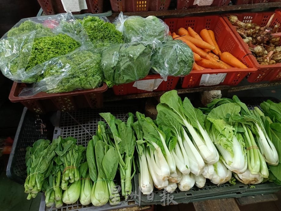 东:(已签发)蔬菜价波动 嘉丝莉莉:严密监控