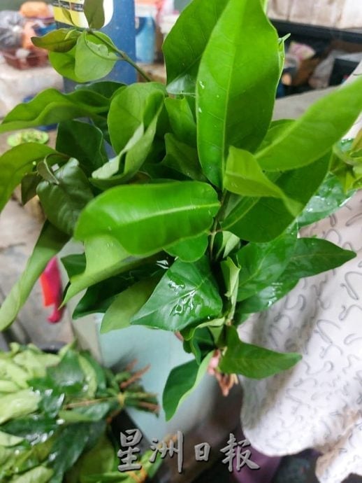 (古城第四版主文)专栏─《漫步巴刹》