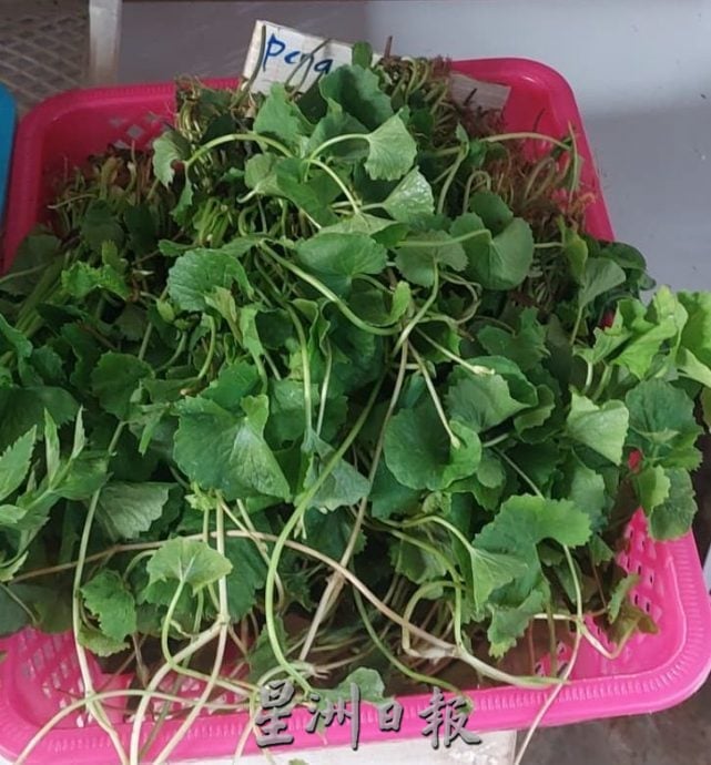 (古城第四版主文)专栏─《漫步巴刹》