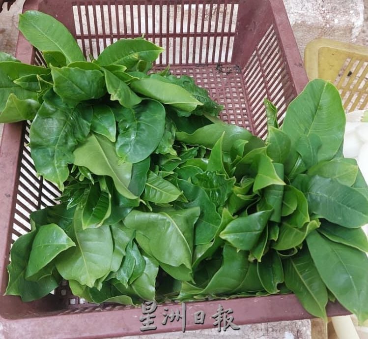 (古城第四版主文)专栏─《漫步巴刹》