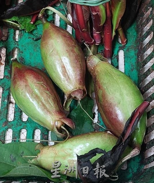 (古城第四版主文)专栏─《漫步巴刹》