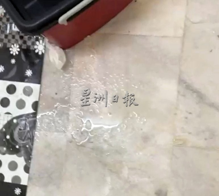 星光组屋单位天花板漏水 屋主促芙市政厅尽快维修防恶化