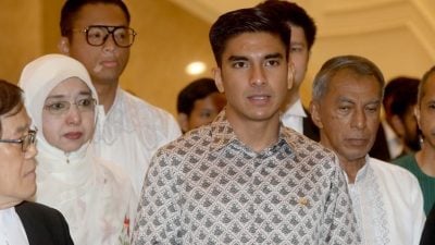 联邦法院暂不裁决赛沙迪案上诉 指示控辩双方“冷静检讨”