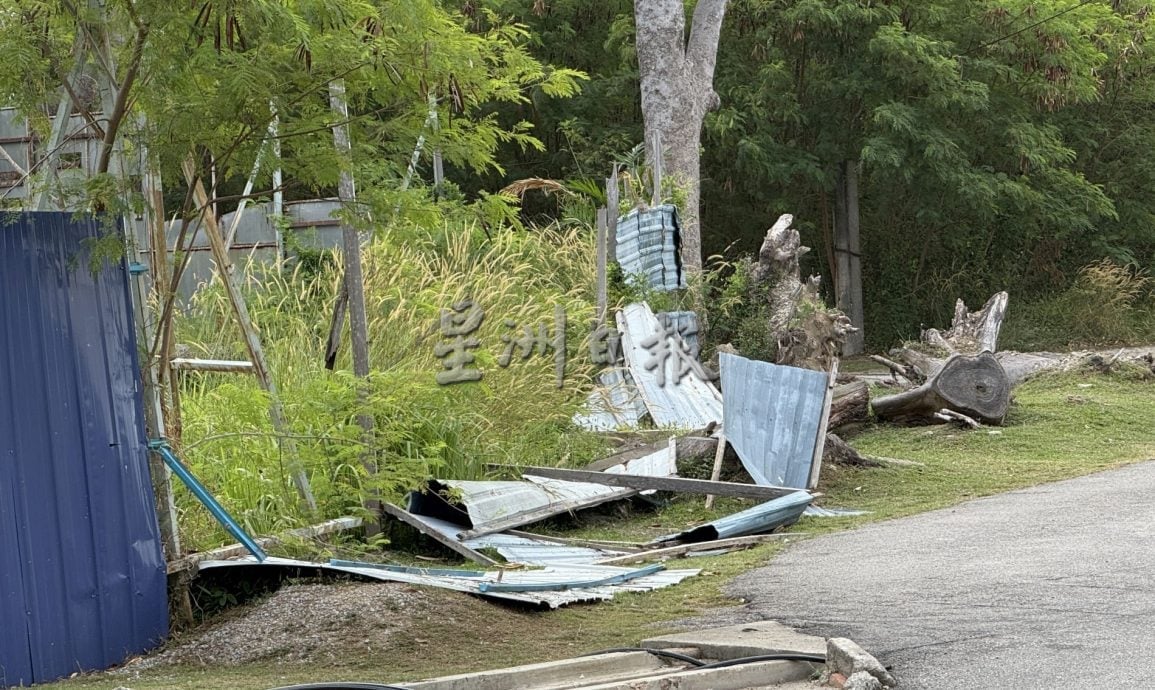 (古城封面主文)游客海边散步脚下尽是鸟粪·河口码头卫生与安全糟糕