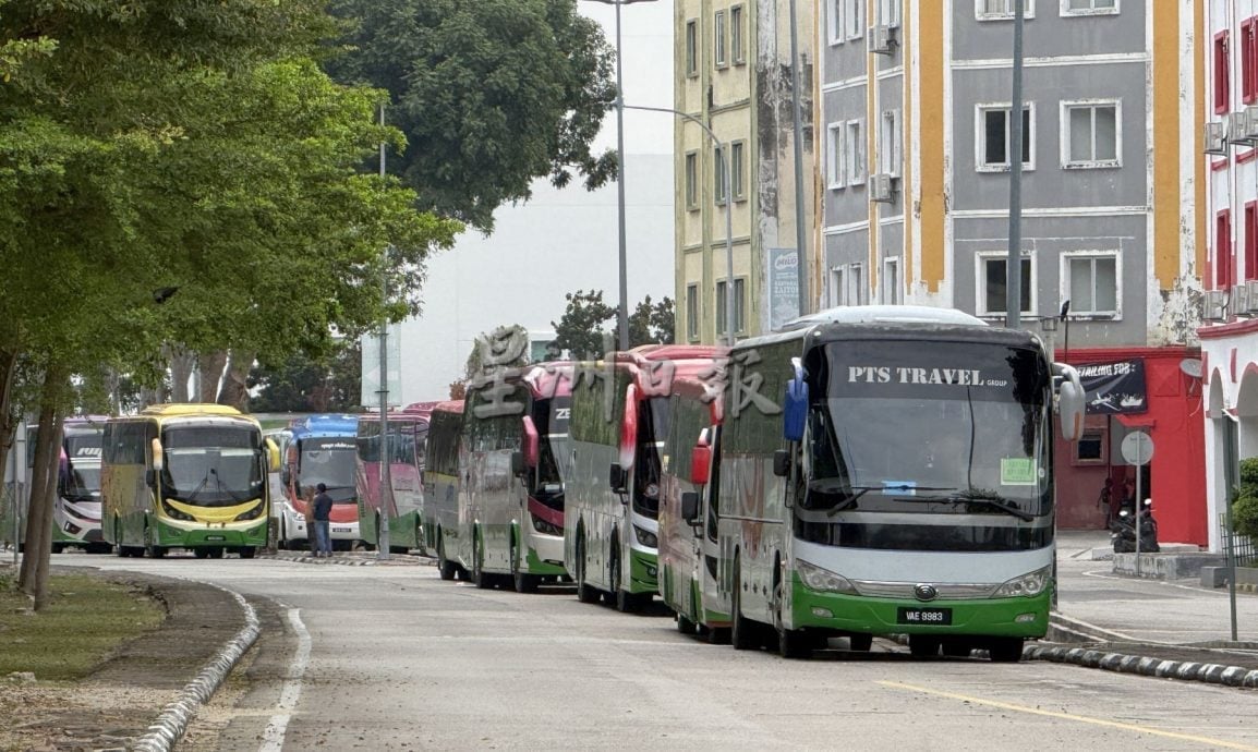 (古城封面主文)游客海边散步脚下尽是鸟粪·河口码头卫生与安全糟糕