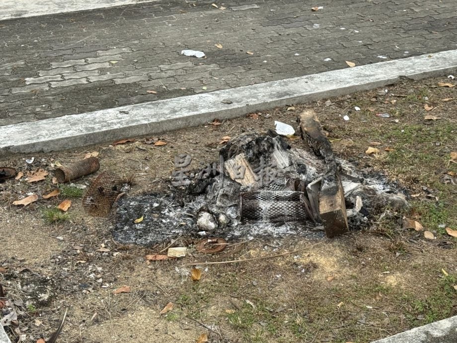 (古城封面主文)游客海边散步脚下尽是鸟粪·河口码头卫生与安全糟糕