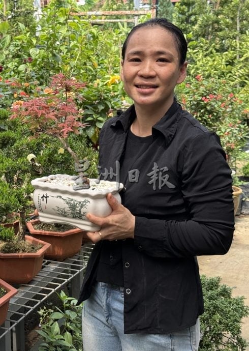 (古城第二版主文)年味悄悄上架·园艺业者冀马年开红盘