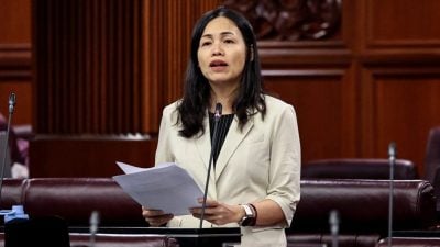 张念群：确保掌握有效监管方法   政府深入研究儿童网游安全问题