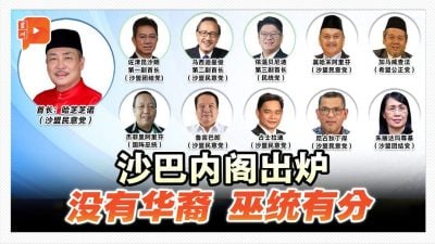 沙内阁出炉 没华裔代表、巫统有名额
