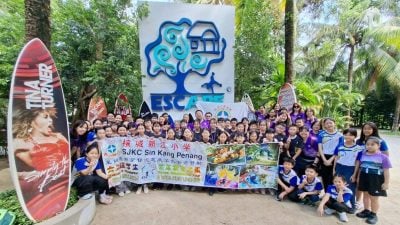 新江小学户外教育露营   学生大自然中玩乐学习