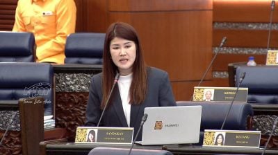 黄诗怡要求政府加强安全 防大马卡遭盗骗援金