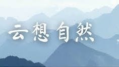 黄云云 | 红树林有哪三宝？