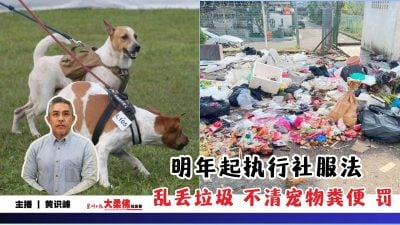 大柔佛三分钟 | 明年起执行社服法  乱丢垃圾 不清宠物粪便 罚